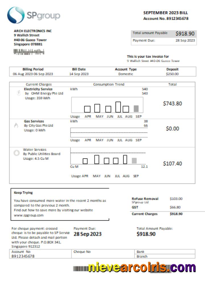 SP Group utility business bill, page 1